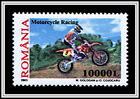 Motorcycle Racing