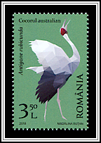 Brolga (Antigone rubicunda)