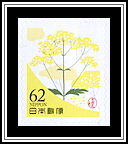 Patrinia - Yellow