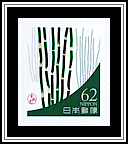 Scouring Rush - Dark Green