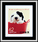 Old English Sheepdog