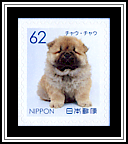 Chow Chow