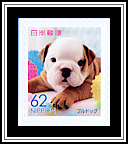 Bulldog