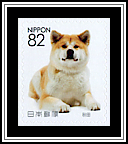 Akita Inu