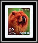 Chow Chow