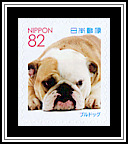 Bulldog