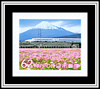 Bullet Train, Mt Fuji