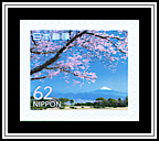 Cherry Tree, Mt Fuji