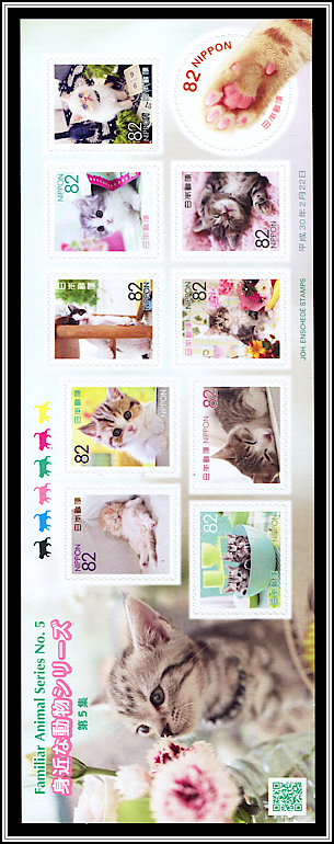 Cats & Kittens