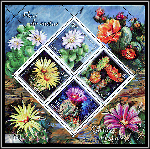 Limited Edition Souvenir Sheet