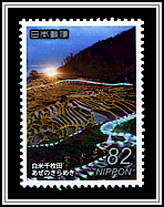 Illuminated Rice Terraces