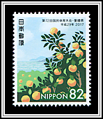 Mandarin Oranges