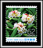 Rhododendron
