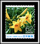 Daylily