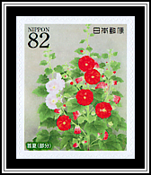 Hollyhocks