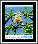 Horse Chestnut