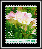 Freesia