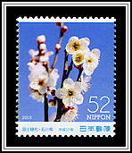Plum Blossoms