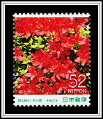 Azalea Blossoms