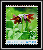 Chocolate Lily