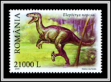 Elopteryx Nopcsai