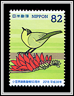 Bonin Eyeglasses Bird