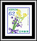 Freesia & Leucocoryne
