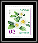 Camellia