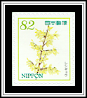 Forsythia