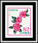 Camellia