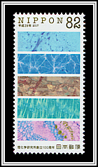 Plant & Animal Tissues