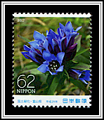 Gentian