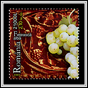 Fetească Albă