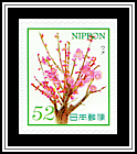 Ume