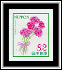 Carnation