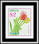 Tulip