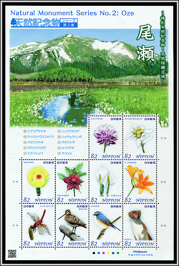 Flora and Fauna of Oze