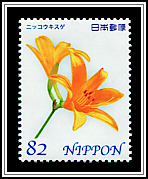 Daylily