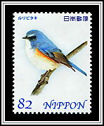 Red-flanked Bluetail