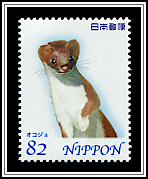 Stoat