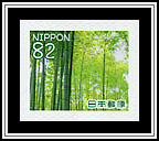 Bamboo Grove