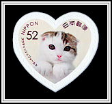 Scottish Fold