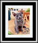 Russian Blue