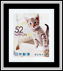 Ocicat