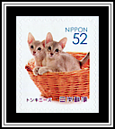 Tonkinese