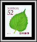 Shiso