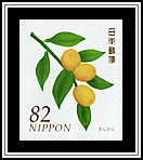 Kumquats