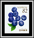 Blueberries