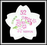 Cherry Blossoms