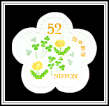 Dandelion & Clover
